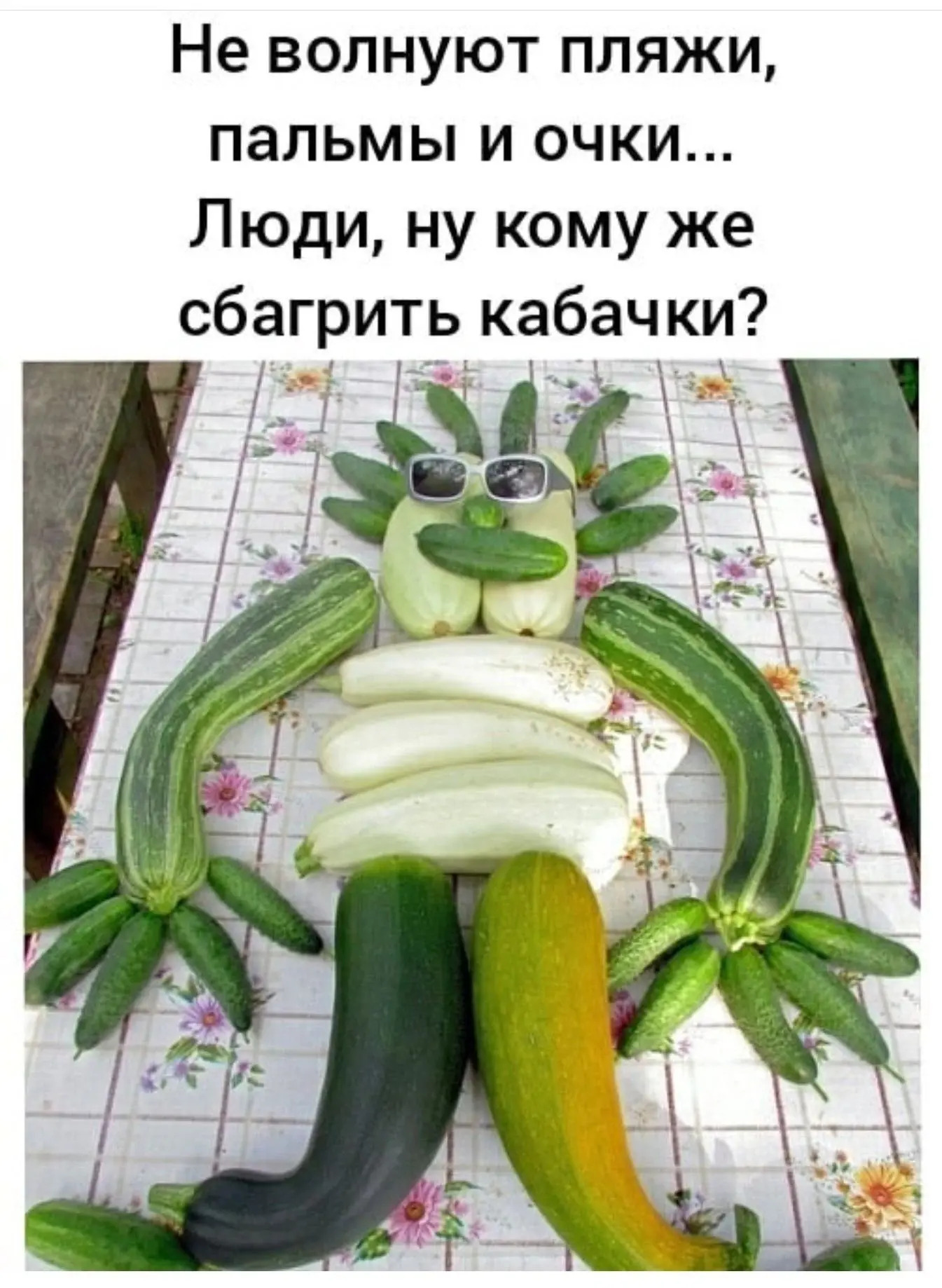 Кабачок смешной картинки