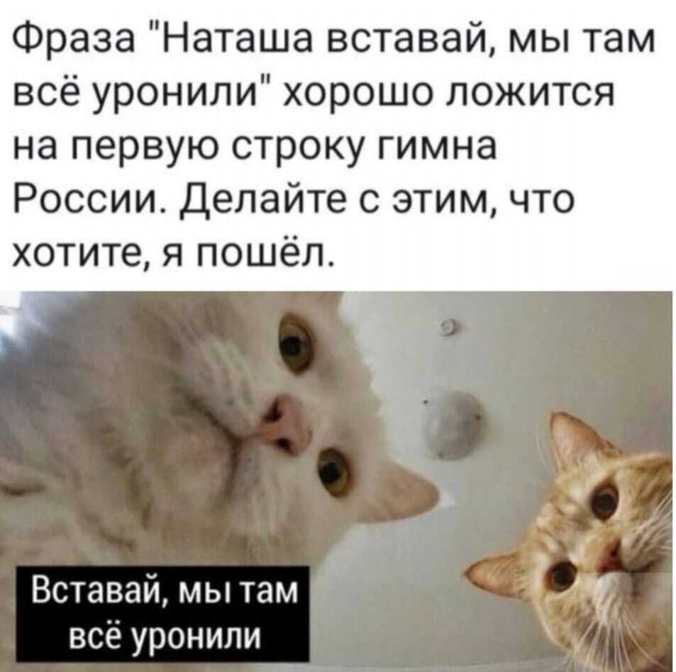 фото наташ вставай