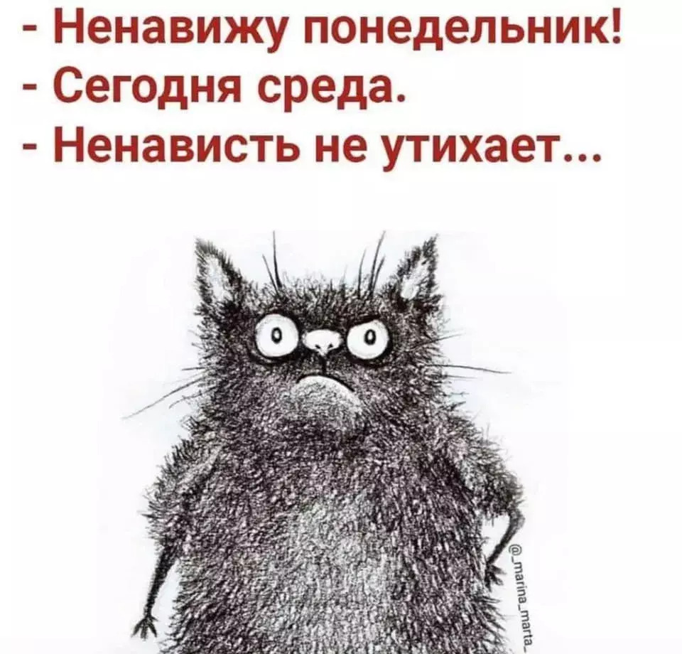 Понедельник мемы в картинках смешные