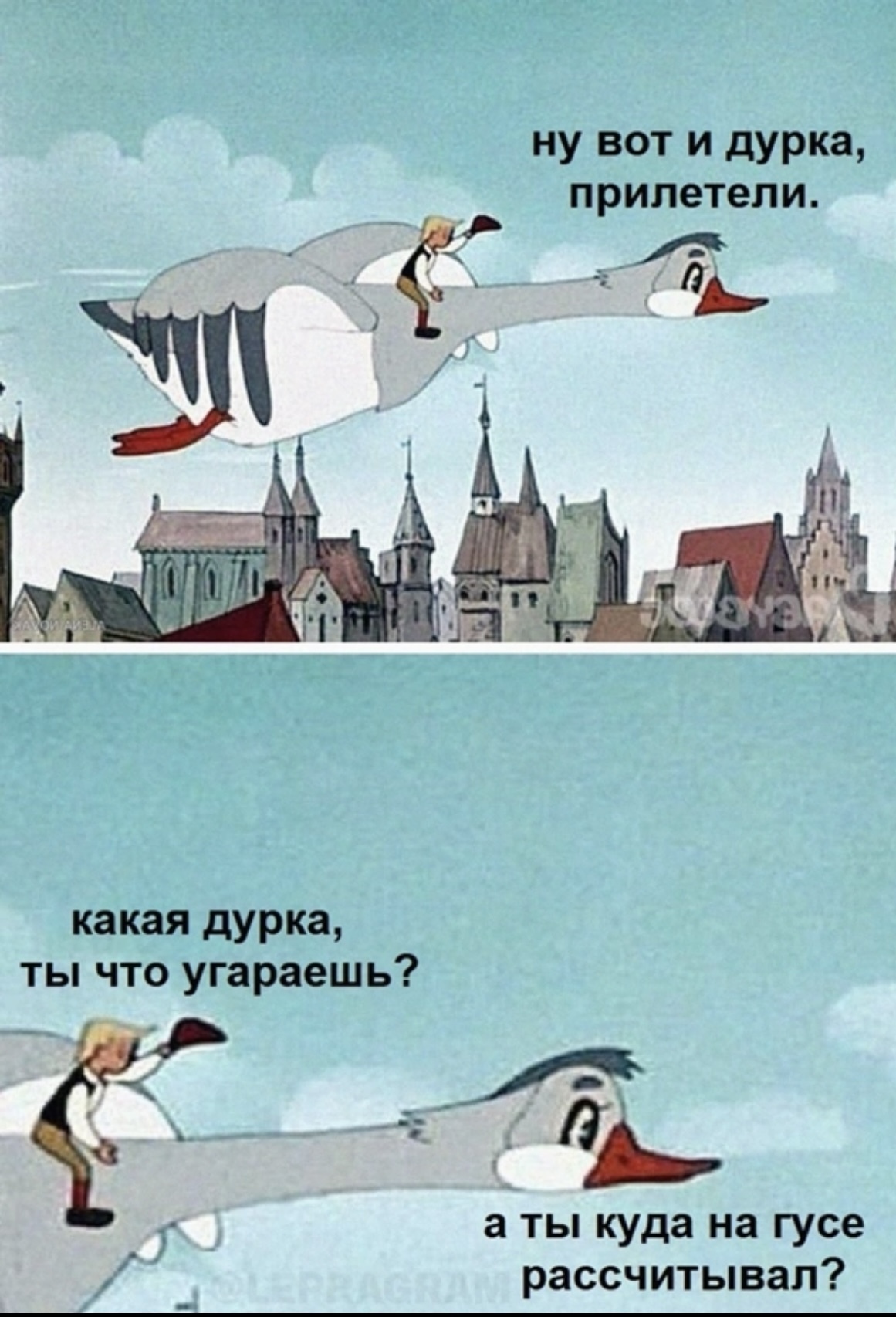 Прилетев на место гуси шумно опускаются