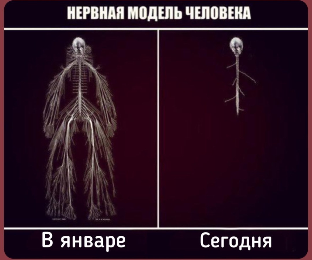 До И После Мем