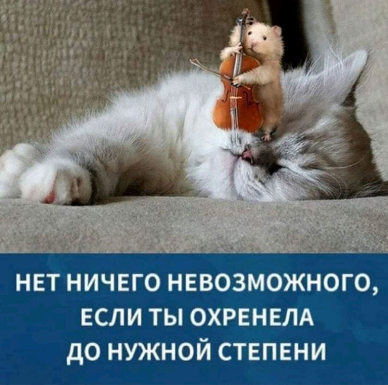 Смешные мотиваторы