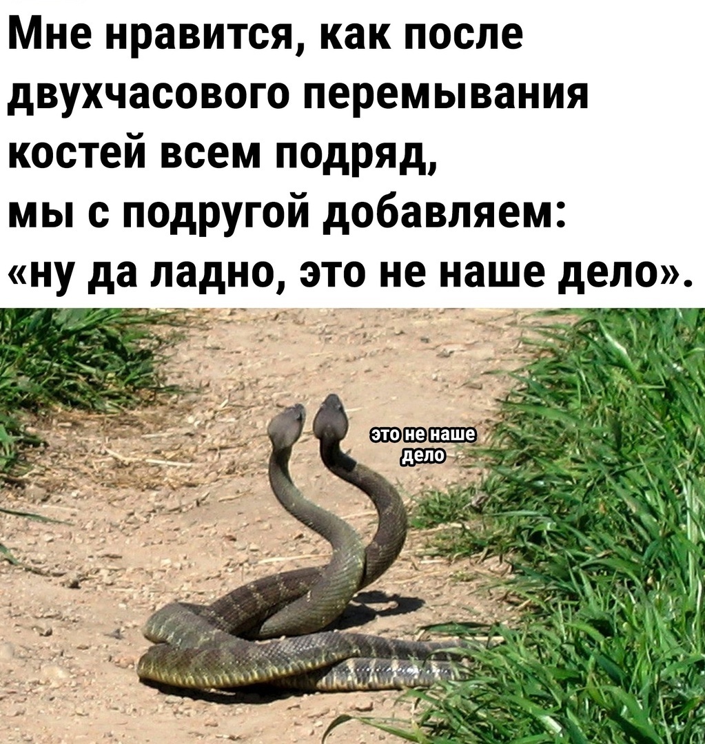 Мем не нам судить но мы обсудим