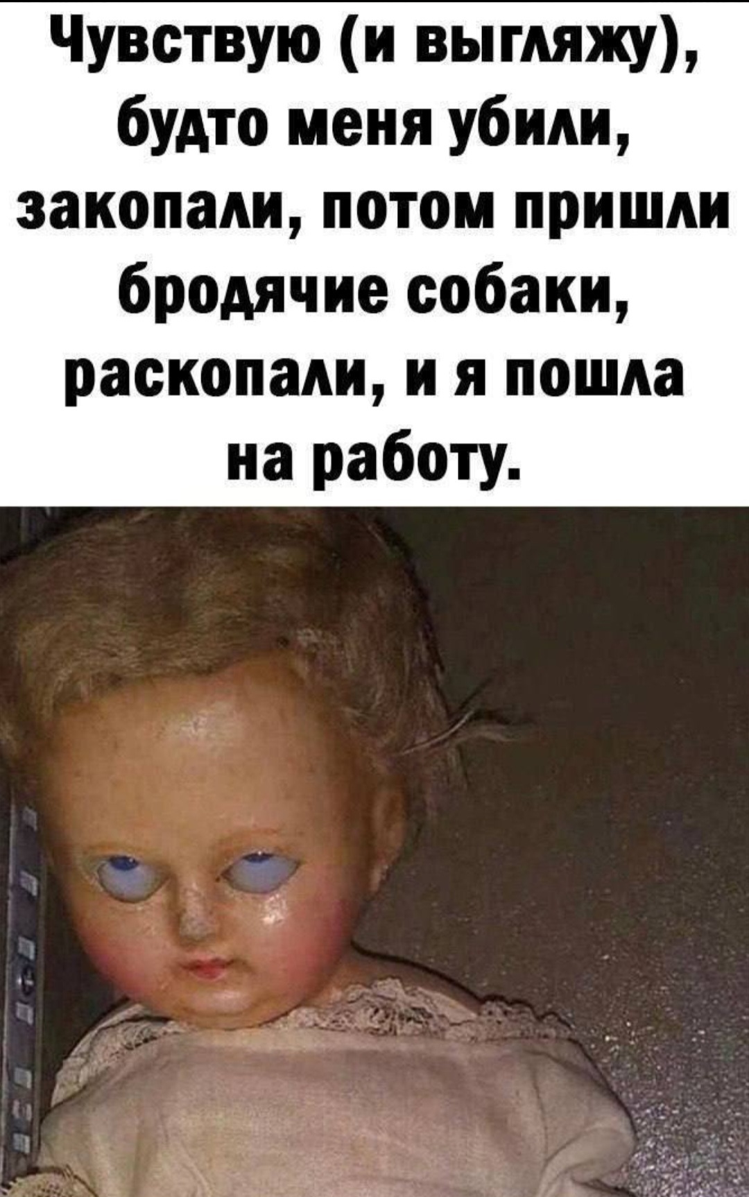 Должна выглядеть так как будто