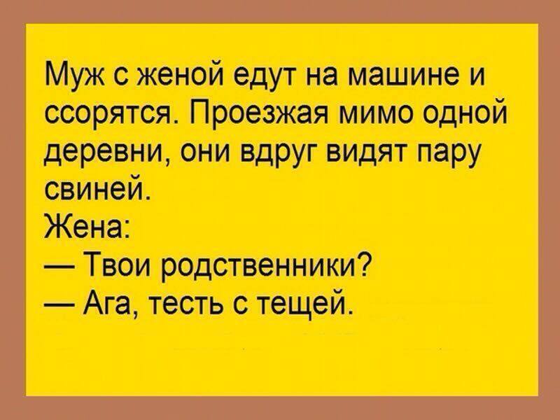 Жена родни. Анекдоты Одноклассники. Анекдот едут жена и муж. Анекдоты про мужа свинья. Анекдот едут жена с мужем мимо свиней.