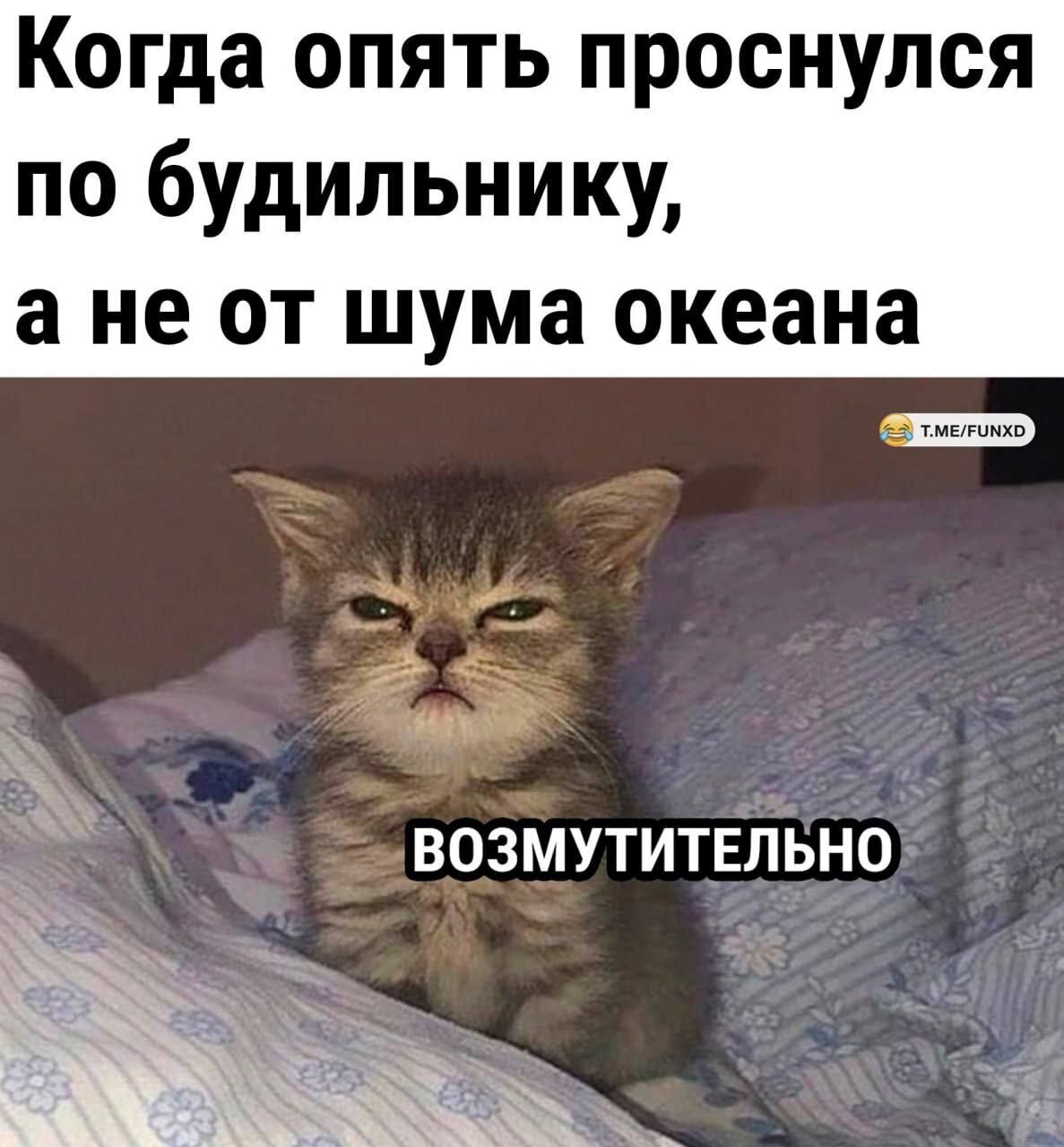 Мемы, которые заставили вас улыбнуться 