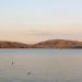 SG105623_900.jpg