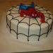 DSC08196.JPG