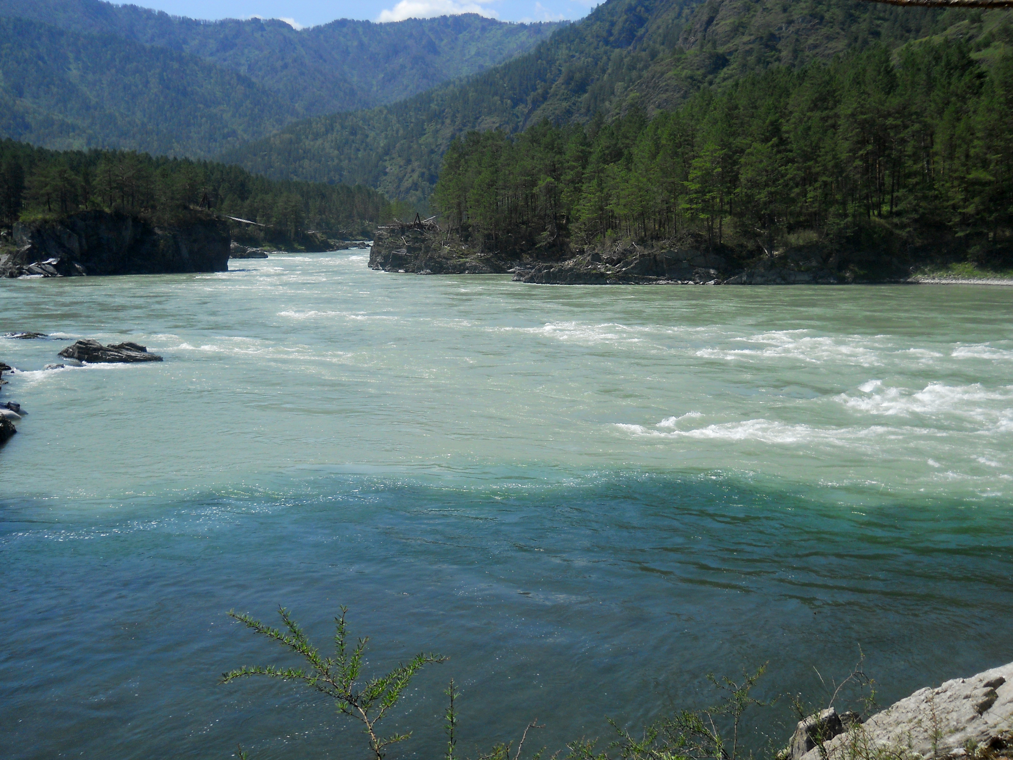 Вода в реке бия. Река Катунь Чемал. Слияние рек Катунь и Чемал. Чемал и Катунь слияние. Река Бия и Катунь.
