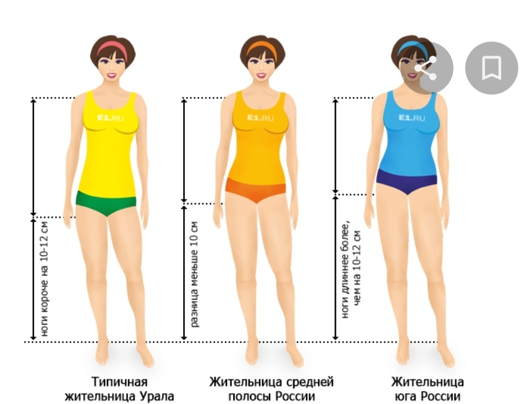 Фигура почему и. Фигура среднестатистической женщины. Длинные и короткие ноги. Длинные средние и кротки ЕНОГИ. Типы ног у женщин.