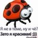 зато красивая.jpg