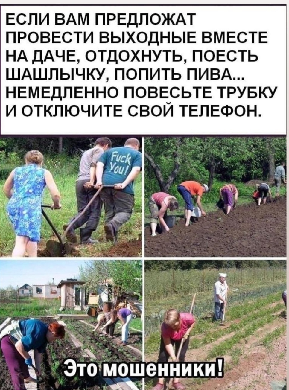 Картинки Про Дачу