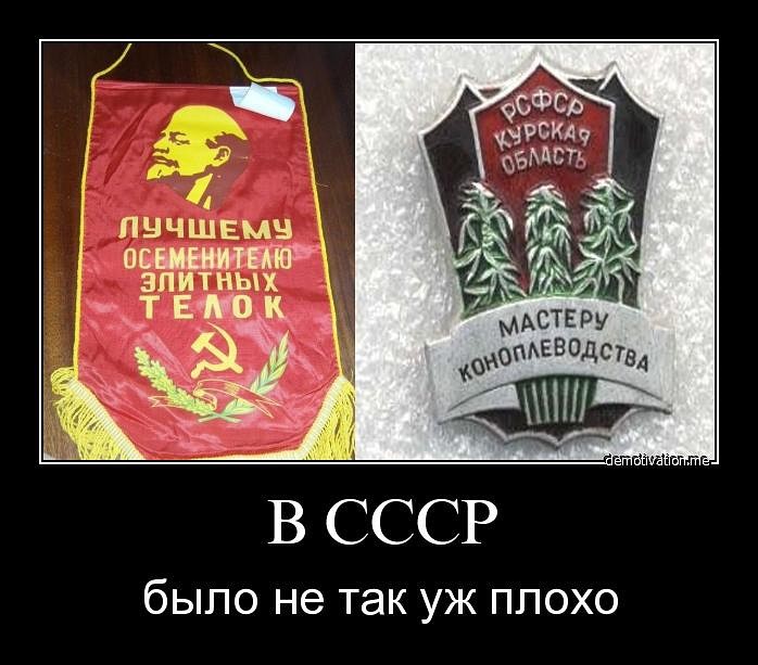 Смешные картинки про ссср