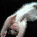 Мой котька =))