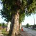 P1000638.JPG