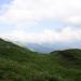 IMG_9242.jpg