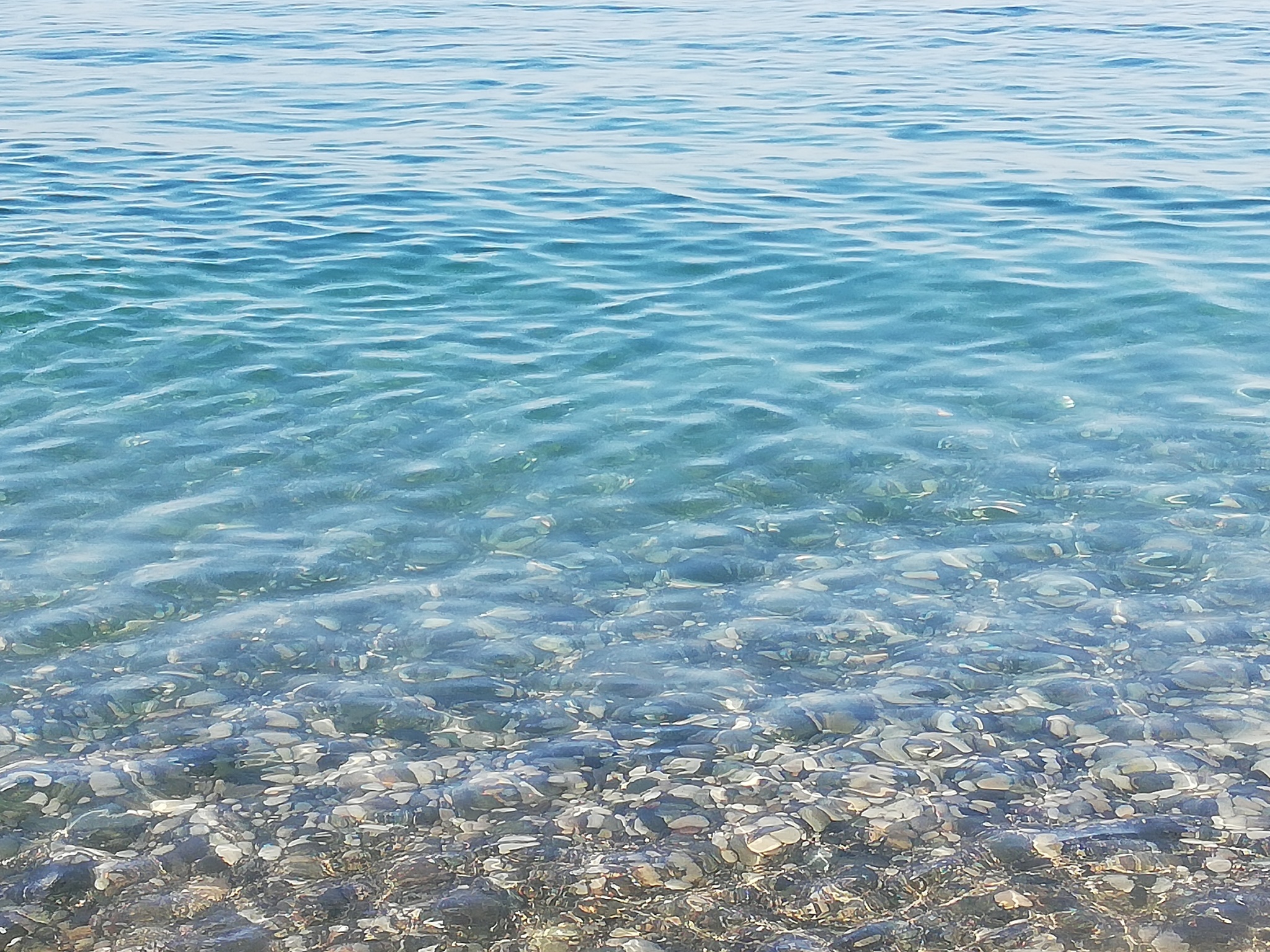 вода в азовском море