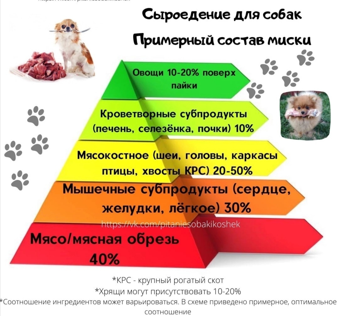 Схема кормления собаки натуралкой