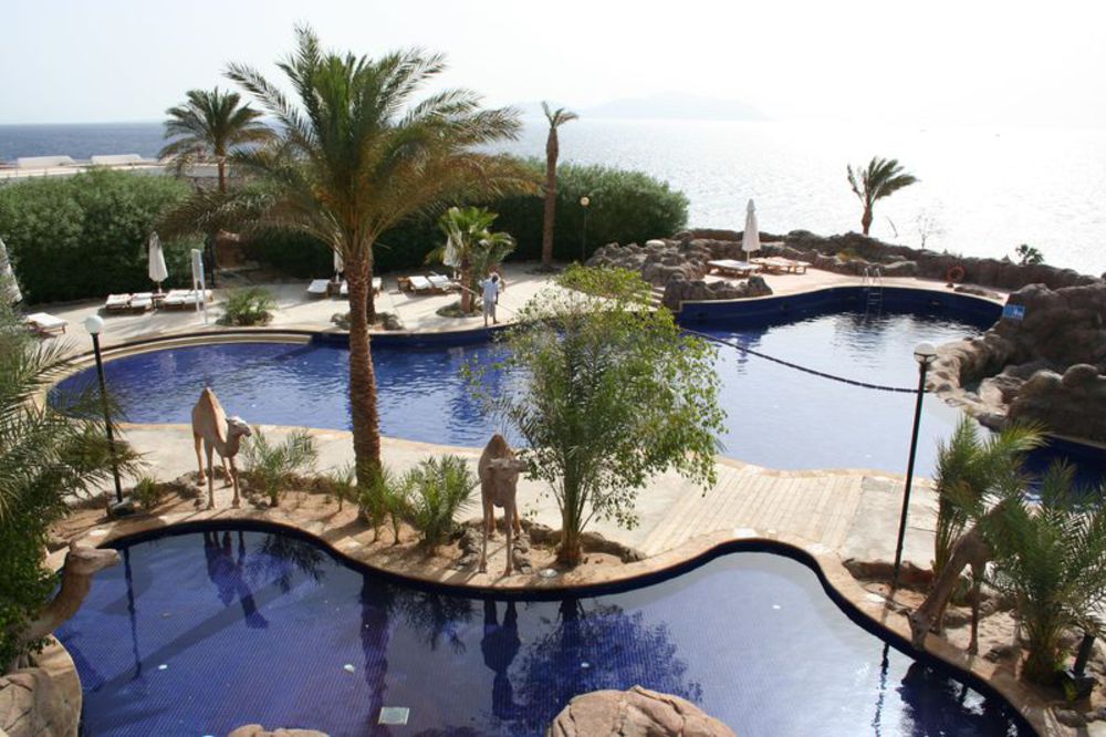 Шератон египет шарм эль шейх. Отель Sheraton Sharm Resort 5. Sheraton Sharm main building Шарм-Эль-Шейх. Отель Шератон Египет. Sheraton Sharm main building 5 Шарм-Эль-Шейх.