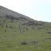 DSCF4239.JPG