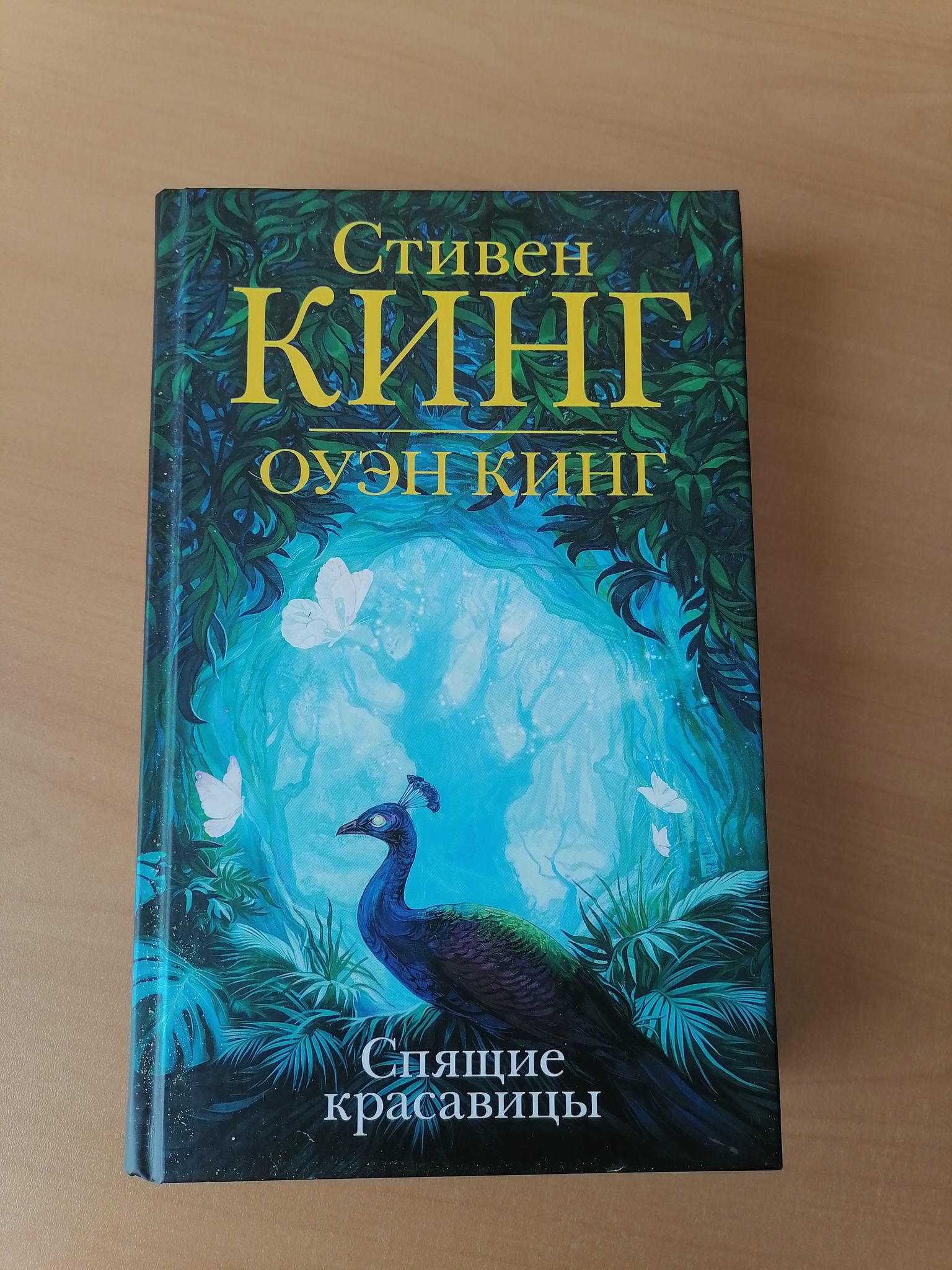 Кинг спящие красавицы аудиокнига. Кинг оуэн "спящие красавицы". Кинг спящие красавицы аудиокнига. Кинг спящие красавицы аудиокнига. Спящие красавицы книга.