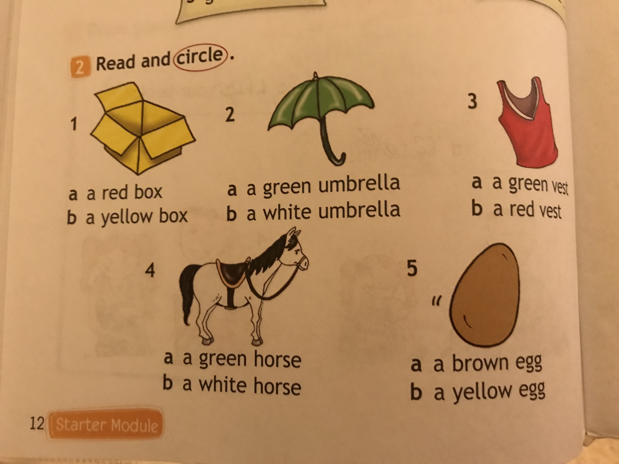 Английский на русский read. Английский read and circle. Read and circle 2 класс. Read and circle 2 класс рабочая тетрадь. Read and circle 3 класс.