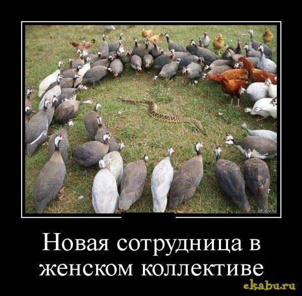 Нифига себе шутка