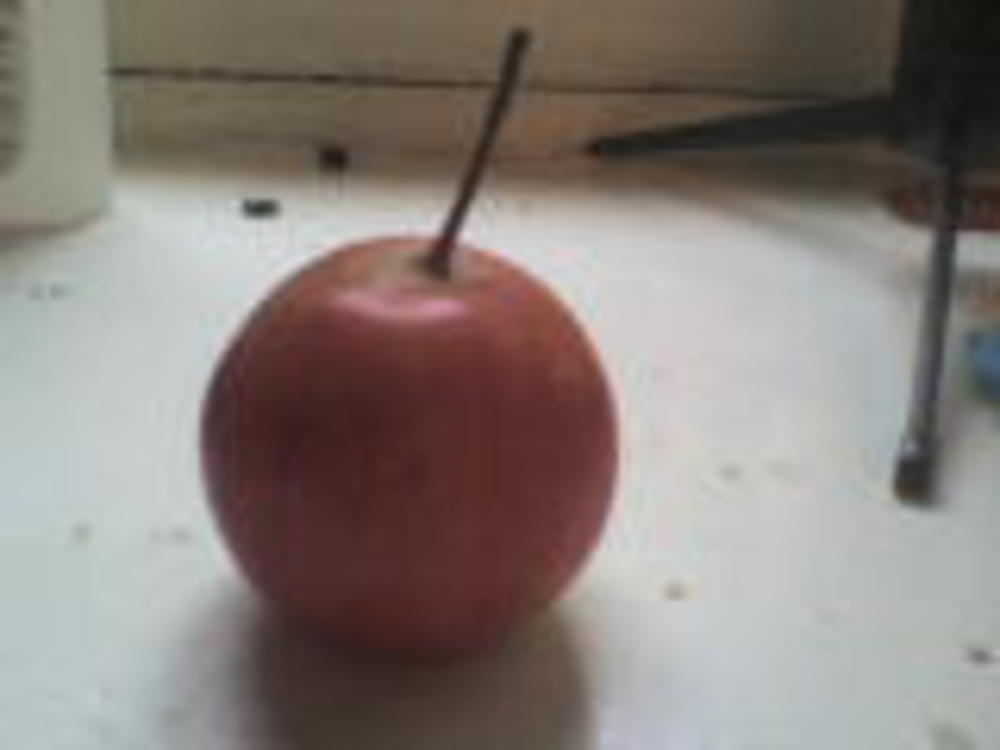 Влияет ли сорт яблок на скорость засушивания. Сорт яблок люголь. Плодоножка у яблока. Сорта яблок на длинной плодоножке. Длинные плодоножки яблоки.