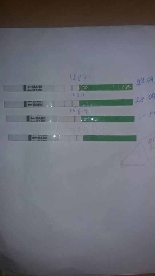Овуляция форум. Тесты за 4 дня до овуляции. Па за сутки до овуляции. Па за 4-5 дней до овуляции. Положительный тест в середине цикла.