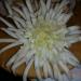 DSCN3511.JPG