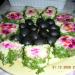 DSCN4544.JPG