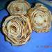 DSCN4530.JPG