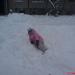 DSC00192.JPG