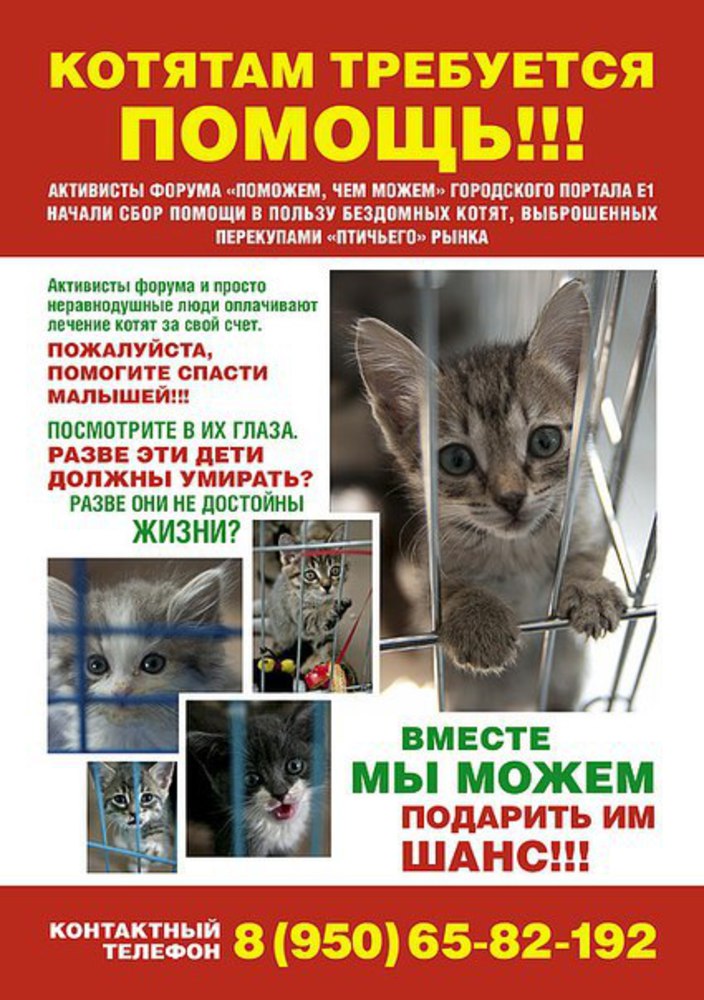 Котику нужна помощь картинки