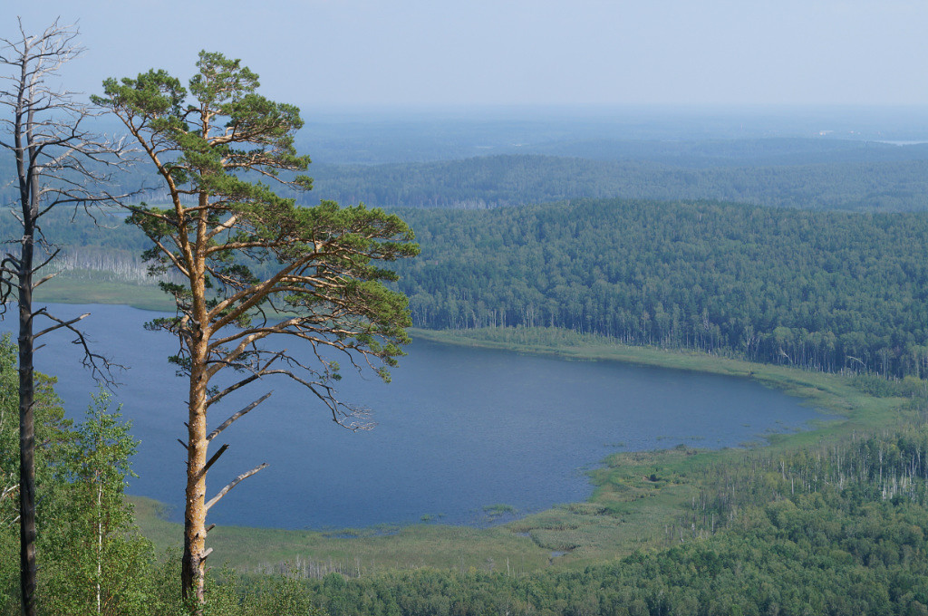 Санаторно лесная школа гагарина кыштым. Лагерь имени гагарина челябинская область. Лагерь гагарина озерск. Пионерский лагерь имени гагарина кыштым челябинская область. Школа гагарина кыштым.
