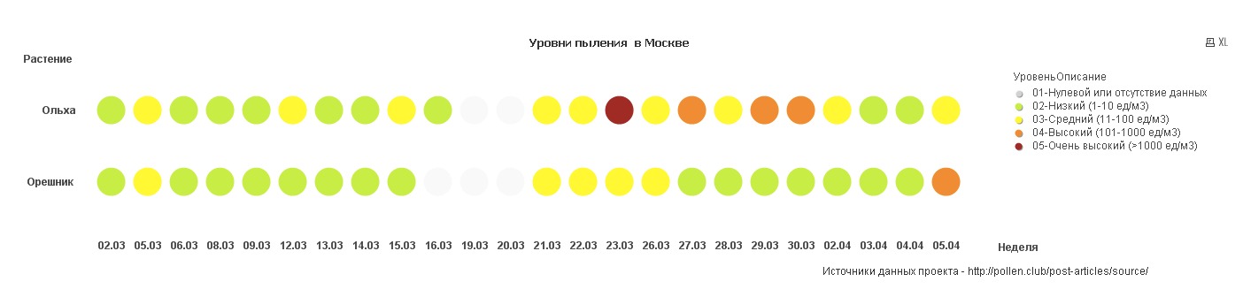 Цветение березы в москве в 2024 году. Карта цветения березы в России. Период цветения березы в Москве. Этапы цветения березы. Мониторинг ольхи пыления.