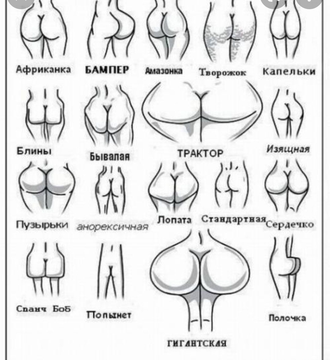разновидности форм груди женщин фото 48