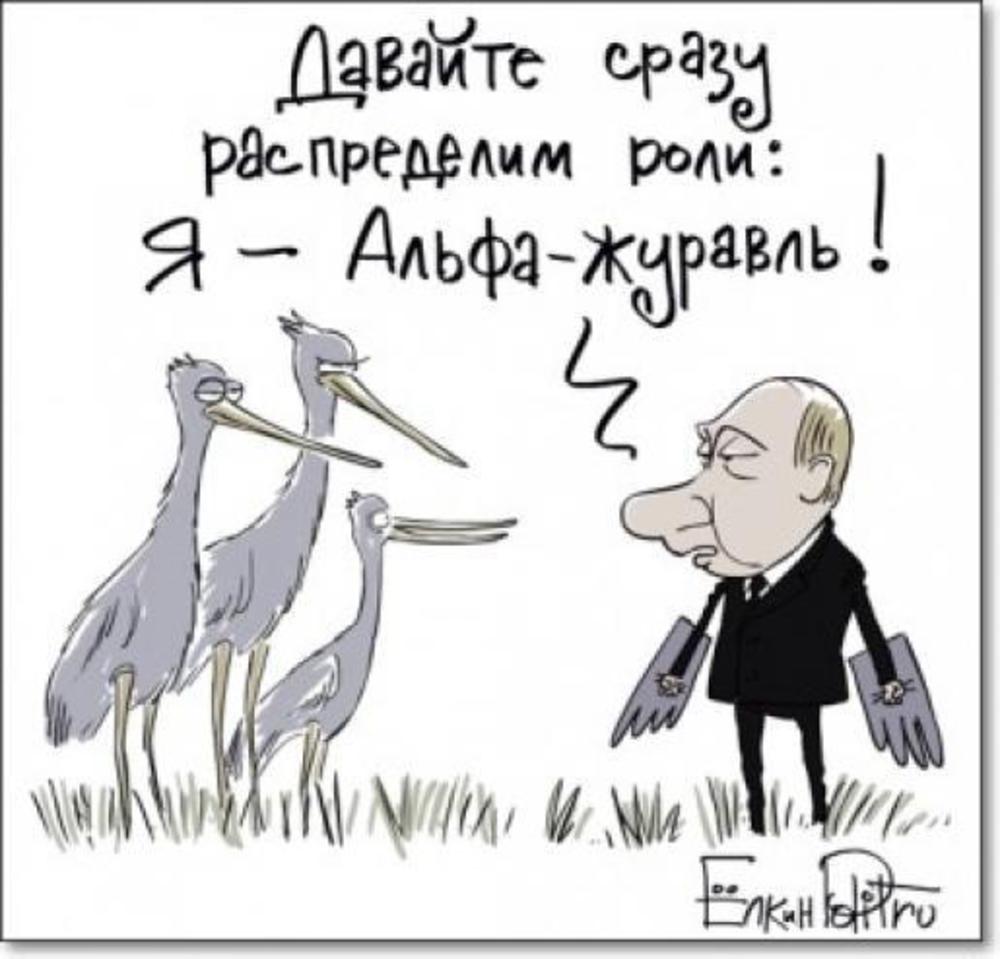 Путин со стерхами карикатуры